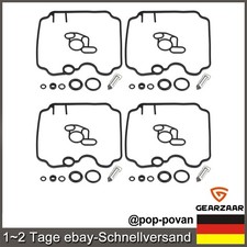 Vergaser Reparatur Satz 4