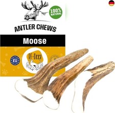 RF - DEER Elchgeweih