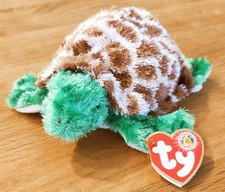 Ty Beanie Babies Baby Tortuga