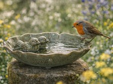 Vogeltränke Vogelbad o173