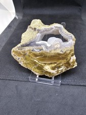 Versteinertes Holz 9x10cm,mit