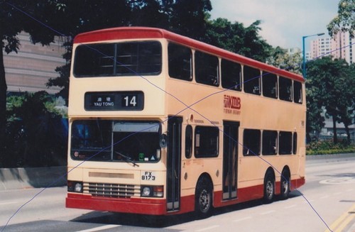 Bus photo hong - photo,