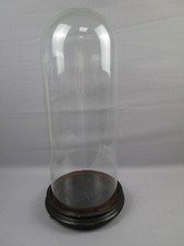 Glasdom mit Holzsockel - Höhe 57,5 cm / Durchmesser 26 cm  - unbeschädigt