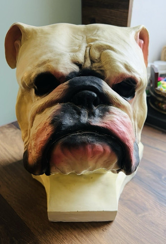 Bulldogge hundebüste bemalt - bulldogge,