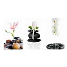 3 - Set Wandbild Orchidee Bild