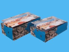 100 Calzone Pizzakartons