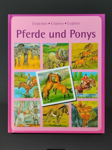 Kinderbuch pferde und ponys - kinderbuch,