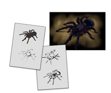 AS-322 Tarantel Step by Step