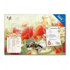 Glas Magnetwand Design