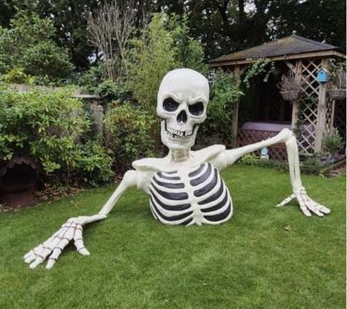 Großes halloween skelett - halloween,