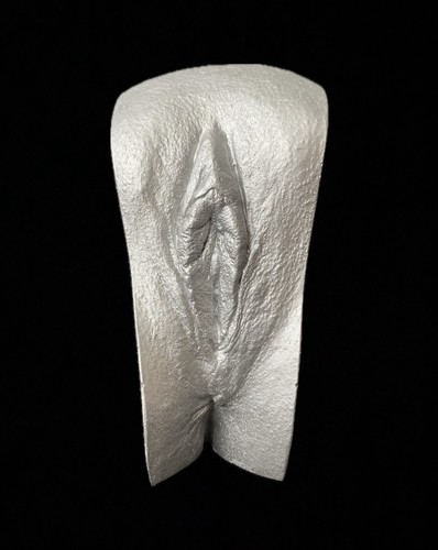 Vagina gipsabdruck original - 3d,