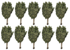 Dufte Momente 10x Birken