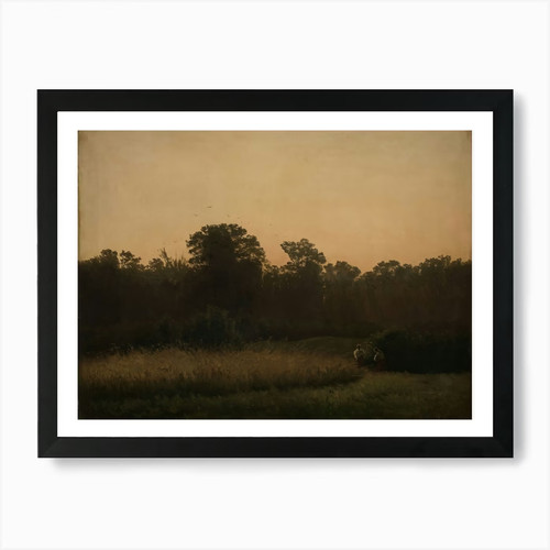 Sonnenuntergang wald - sonnenuntergang,