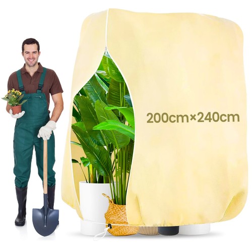 Stück xxl pflanzen - 1-2,