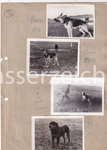 Original fotos militär 1956 - 8,