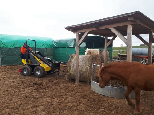 Radlader hoflader minibagger - radlader,