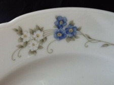 Seltmann Weiden Marie Luise Blumen wß blau 6 Desserteller Ø 20 & Untere NEUWARE