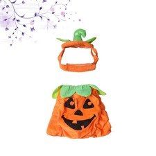 Katzenkostüm Kürbis Haustier