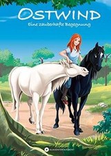 Ostwind - Eine zauberhafte Begegnung (Ostwind für E... | Buch | Zustand sehr gut