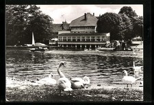 Caputh, Gaststätte und Café