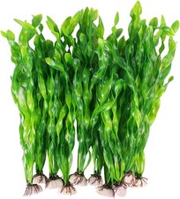 Aquarium Wasserpflanzen 10 Stück groß