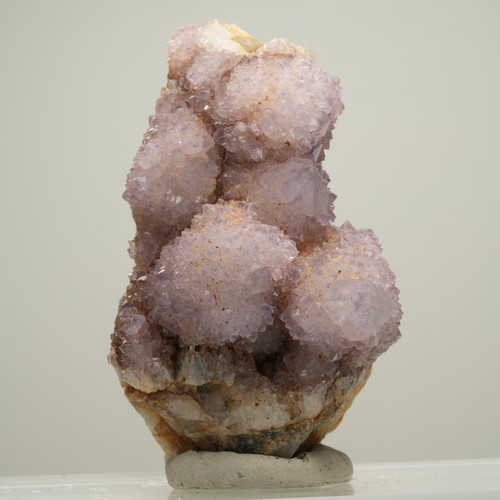 Seltene kaktus amethyst - seltene,