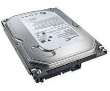 250 GB SATA-II Seagate interne