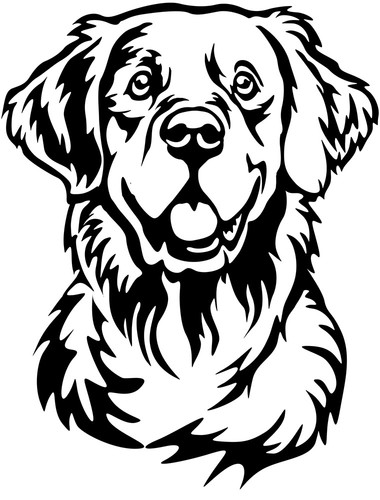 Golden retriever aufkleber - golden,
