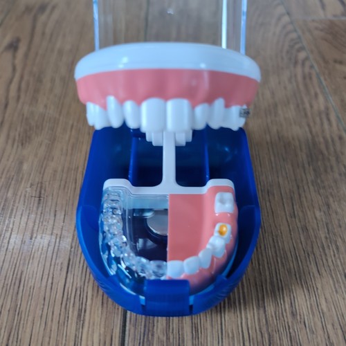 Dental kieferorthopädie - dental,