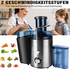 Profi-Entsafter elektrische Saftpresse Edelstahl 500ML Presse Obstpresse 1000W