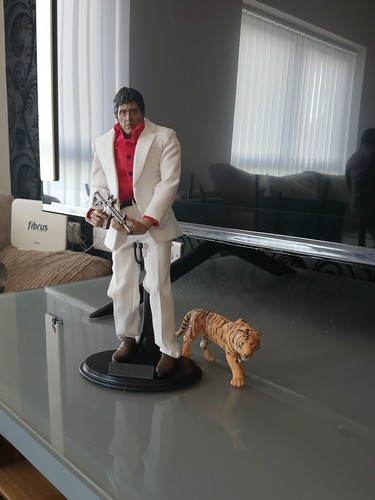 Scale tony - scale,