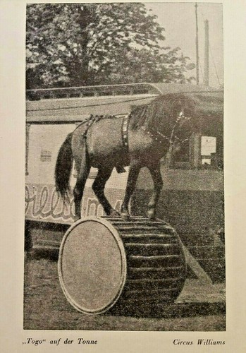 Historische ansichtskarte - historische,