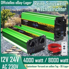 4000W/8000W Reiner Sinu
