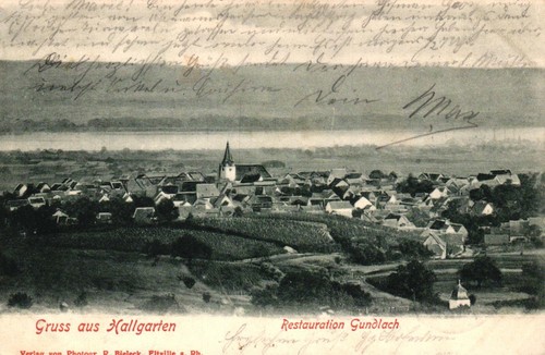 Hallgarten - , (oestrich-winkel)