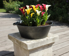 Zinkwanne,mit Henkeln,anthrazit/Schwarz,Miniteich,40cm Durchmesser,Art.114202