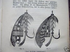 Der praktische Angler 1903 Anleitung Angelfischerei