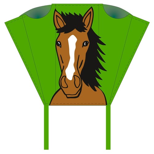 Kinderdrachen einleiner pocket - kinderdrachen,