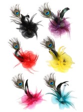 Federschmuck in verschiedenen