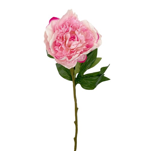 Deko pfingstrose rosa pink - pfingstrose,