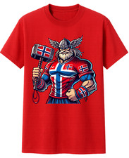 Norwegen Wikinger T-Shirt