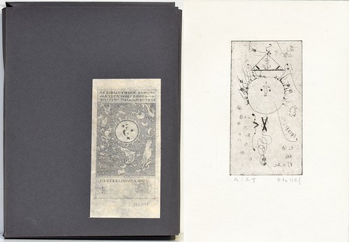 Hussel zhang kauft - zhang,