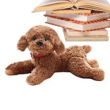 Realistische Simulation Teddy