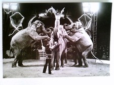 Staatszirkus der DDR