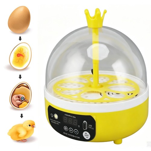 Eierbrutkasten für eier - für, 4