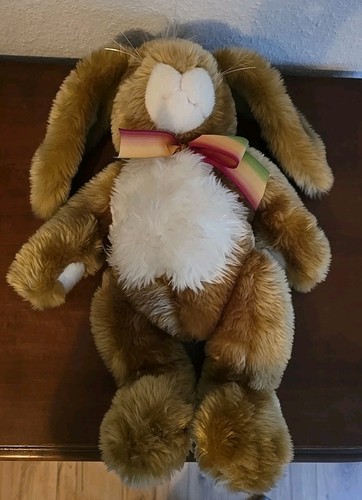 Bear studio hase - bear, plüschtier
