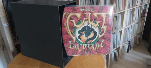 LP-Ständer