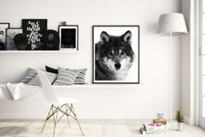 Wolf Bild Poster Kunstdruck
