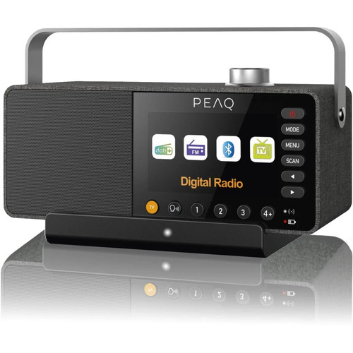 Peaq pts 100 - peaq,