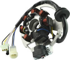 Lichtmaschine für CPI Aragon