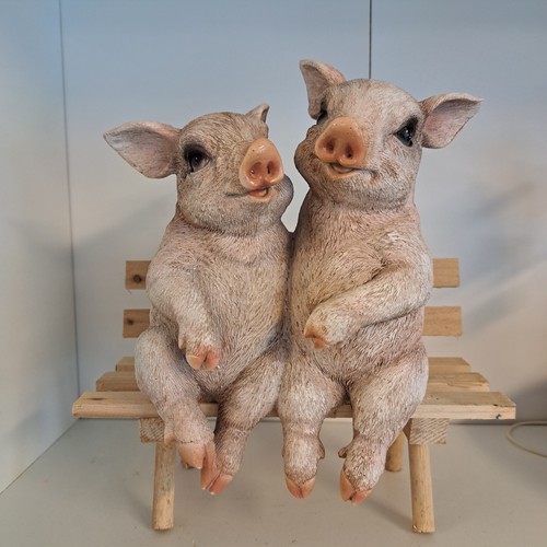 Schweine auf bank - auf, –